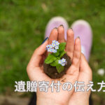 遺贈寄付の伝え方
